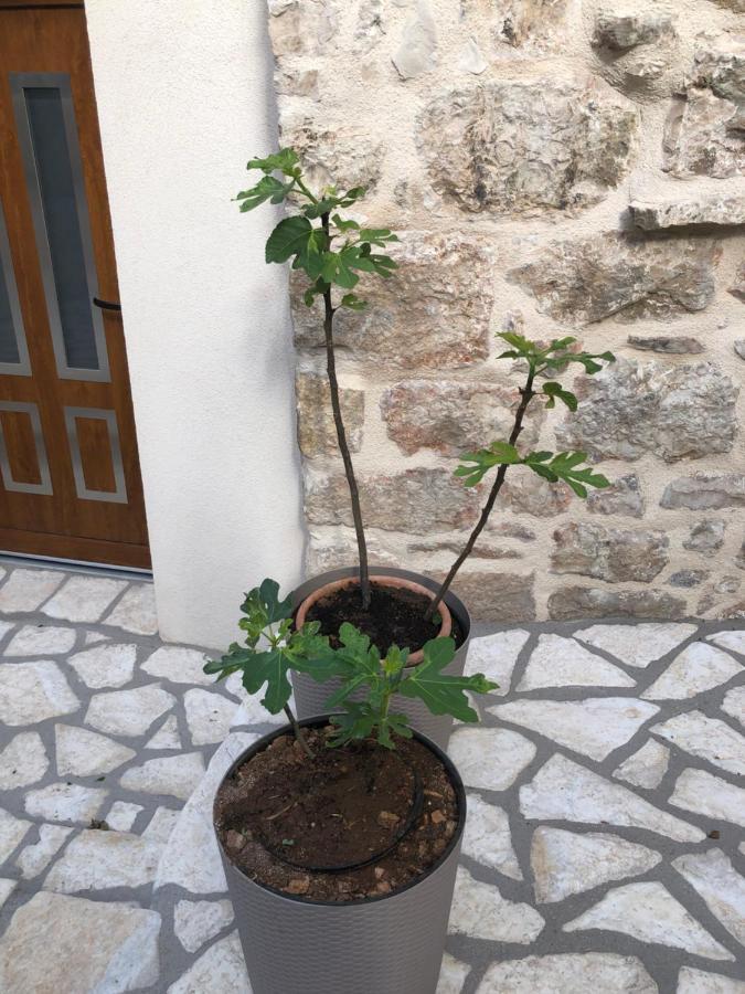 Old Town Apartment Mare هفار المظهر الخارجي الصورة